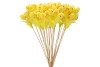 EASTER STICK-INS EGG + FEATHERS YELLOW 9X7CM L50CM SET OF 25