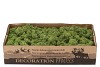 MOUSSE D'ISLANDE VERT ARMÉE PAR 500 GRAMMES