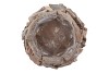 NATURE PLANTER DRIFTWOOD POT WHITEWASH 25X16CM