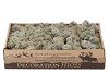 MOSS ICELAND GREY A 500 GRAM