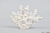 KORAAL WIT 18X5X14CM