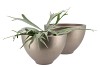 VINCI CHAMPAGNE KOM BOL 27X18CM