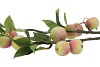 SILK APPLE GREEN/RED L70CM