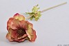 SILK ANEMONE ORANGE/GREEN L42CM