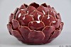 WAXINE PROTEA RUBY RED 16X11CM