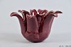WAXINE DECO RUBY RED SUCCULENT 17X8CM