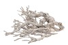 NATURE CURRY BUSH SILVER A 500 GRAM