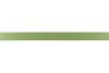LINT SATIN 60 LICHTGROEN 100M X 25MM P/1