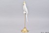 DECO PARROT ON FOOT 11X11X39CM WHITE/GOLD