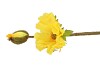 SILK PAPAVER TAK GEEL L64CM