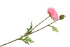 SILK PAPAVER TAK ROZE L64CM