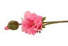 SILK PAPAVER TAK ROZE L64CM