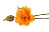 SILK PAPAVER TAK ORANJE L64CM