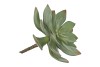 SILK ECHEVERIA ON STICK GREY 15CM