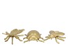 DECO INSECT ALUMINIUM GOUD 13X10X4CM ASSORTI PER STUK