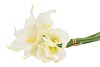 SILK CALLA LILY WHITE 9-BRANCHES L34CM