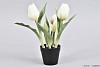 SILK TULPEN IN POT WIT 26CM