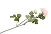 SILK RANONKEL TAK 2- BLOEM LICHTROZE L55CM