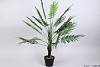 PLANT PALM IN POT GREEN D70XL100CM