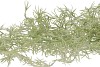 SILK TILLANDSIA HANGEND L90CM