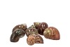 SCHELP PETHOLATUS 5CM ASSORTI PER 6 STUKS
