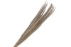 DRY BROOM GRASS WHITE WASH L100CM PER 100 GRAMS