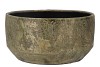 DUBAI OLIVE GOLD COUPE 28X14CM