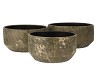 DUBAI OLIVE GOLD COUPE 28X14CM