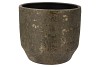 DUBAI OLIVE GOLD POT 36X32CM