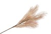SILK PLUME BRANCH COFFEE 72CM
