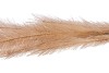 SILK PLUME BRANCH CREME 72CM