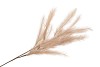 SILK PLUME BRANCH CREME 100CM