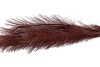 SILK PLUME BRANCH BORDEAUX 72CM