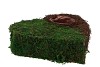 MOS/RIET PLANTER HART 27X8CM