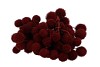DRY PLATANE BORDEAUX P/BUNDEL