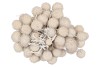 DRY PLATANE WIT PER BUNDEL