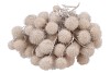 DRY PLATANE WIT PER BUNDEL