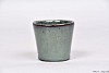 ALICANTE VERT FONCÉ POT 9X8CM