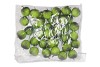 PICK APPEL GREEN 4X10CM ON WIRE P/36