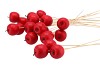 BIJSTEKER APPEL ROOD 6+50CM STOK P/25