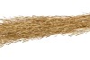 TROCKENES SARAS GRASS GOLD 100CM PRO 100 GRAMM