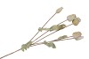 SILK POPPY BRANCH GREEN