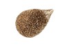 HEDGEHOG GOLD POLYSTONE 9X6X4CM NM