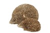 HEDGEHOG GOLD POLYSTONE 9X6X4CM NM