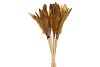 FEATHERS MUSTARD/GOLD OP STOK 30CM P/24