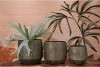DUBAI OLIVE GOLD POT 14X13CM