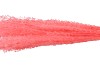 DRY SILVERGRASS XL CERISE P/5 L100CM