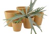 VINCI MUSTARD POT CONTAINER 12X10CM