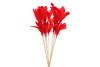 VEREN GANS OP STOK ROOD 72CM P/12