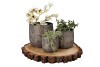DUBAI MAJESTIC GOLD POT 24X22CM